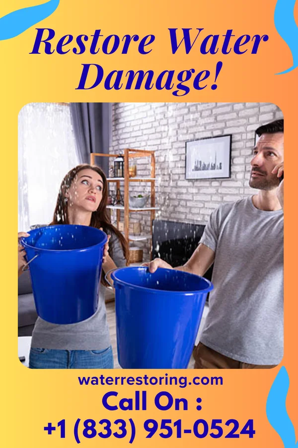 water restoration Patriot Water Mitigation Specialists Pinecraft