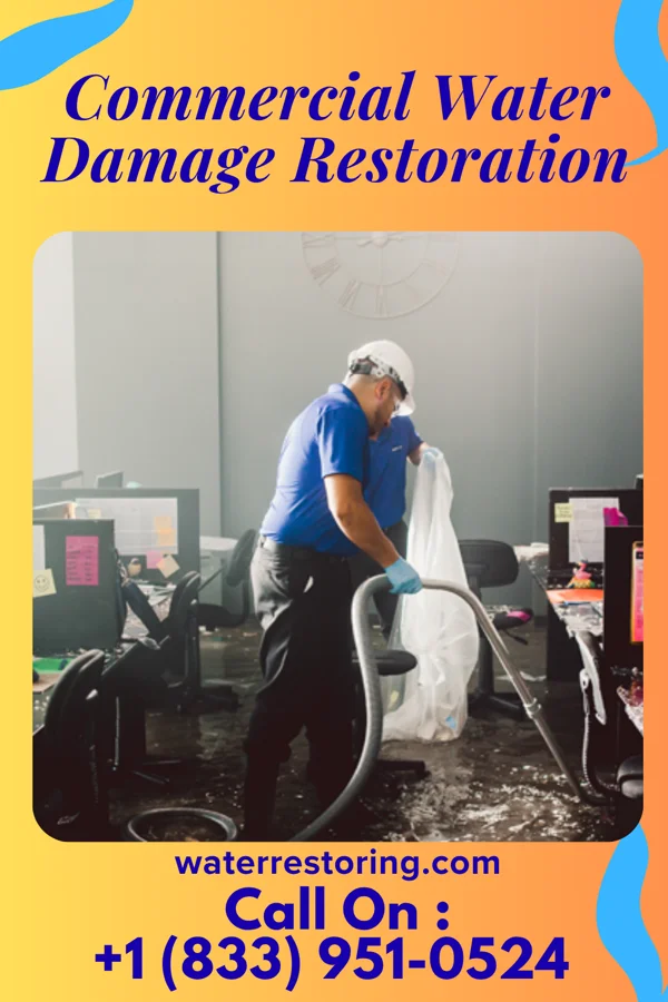 Commercial Water Damage Restoration in Pinecraft, FL