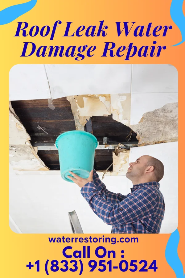 Roof Leak Water Damage Repair in Pinecraft, FL